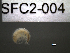  ( - SFC2-004)  @11 [ ] Unspecified (default): All Rights Reserved  Unspecified Unspecified