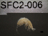  ( - SFC2-006)  @11 [ ] Unspecified (default): All Rights Reserved  Unspecified Unspecified