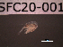  ( - SFC20-001)  @11 [ ] Unspecified (default): All Rights Reserved  Unspecified Unspecified