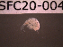  ( - SFC20-004)  @11 [ ] Unspecified (default): All Rights Reserved  Unspecified Unspecified