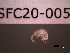  ( - SFC20-005)  @11 [ ] Unspecified (default): All Rights Reserved  Unspecified Unspecified