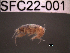  ( - SFC22-001)  @11 [ ] Unspecified (default): All Rights Reserved  Unspecified Unspecified
