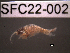  ( - SFC22-002)  @11 [ ] Unspecified (default): All Rights Reserved  Unspecified Unspecified