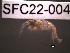  ( - SFC22-004)  @11 [ ] Unspecified (default): All Rights Reserved  Unspecified Unspecified