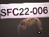  ( - SFC22-006)  @11 [ ] Unspecified (default): All Rights Reserved  Unspecified Unspecified