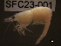 ( - SFC23-001)  @11 [ ] Unspecified (default): All Rights Reserved  Unspecified Unspecified