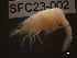  ( - SFC23-002)  @11 [ ] Unspecified (default): All Rights Reserved  Unspecified Unspecified