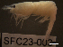  ( - SFC23-003)  @11 [ ] Unspecified (default): All Rights Reserved  Unspecified Unspecified