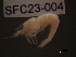  ( - SFC23-004)  @11 [ ] Unspecified (default): All Rights Reserved  Unspecified Unspecified