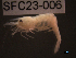  ( - SFC23-006)  @11 [ ] Unspecified (default): All Rights Reserved  Unspecified Unspecified