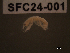  ( - SFC24-001)  @11 [ ] Unspecified (default): All Rights Reserved  Unspecified Unspecified