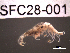  ( - SFC28-001)  @13 [ ] Unspecified (default): All Rights Reserved  Unspecified Unspecified
