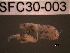  ( - SFC30-003)  @11 [ ] Unspecified (default): All Rights Reserved  Unspecified Unspecified
