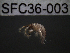  ( - SFC36-003)  @12 [ ] Unspecified (default): All Rights Reserved  Unspecified Unspecified