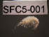  ( - SFC5-001)  @13 [ ] Unspecified (default): All Rights Reserved  Unspecified Unspecified
