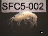  ( - SFC5-002)  @13 [ ] Unspecified (default): All Rights Reserved  Unspecified Unspecified