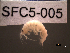  ( - SFC5-005)  @11 [ ] Unspecified (default): All Rights Reserved  Unspecified Unspecified
