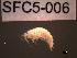  ( - SFC5-006)  @11 [ ] Unspecified (default): All Rights Reserved  Unspecified Unspecified