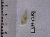  ( - SFC7-001)  @13 [ ] Unspecified (default): All Rights Reserved  Unspecified Unspecified