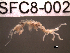  ( - SFC8-002)  @12 [ ] Unspecified (default): All Rights Reserved  Unspecified Unspecified