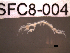  ( - SFC8-004)  @11 [ ] Unspecified (default): All Rights Reserved  Unspecified Unspecified