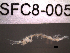  ( - SFC8-005)  @11 [ ] Unspecified (default): All Rights Reserved  Unspecified Unspecified