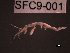  ( - SFC9-001)  @11 [ ] Unspecified (default): All Rights Reserved  Unspecified Unspecified