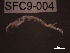  ( - SFC9-004)  @11 [ ] Unspecified (default): All Rights Reserved  Unspecified Unspecified