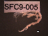  ( - SFC9-005)  @11 [ ] Unspecified (default): All Rights Reserved  Unspecified Unspecified
