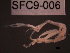  ( - SFC9-006)  @11 [ ] Unspecified (default): All Rights Reserved  Unspecified Unspecified