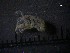  ( - SFCM23-002)  @11 [ ] Unspecified (default): All Rights Reserved  Unspecified Unspecified