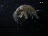  ( - SFCM27-004)  @11 [ ] Unspecified (default): All Rights Reserved  Unspecified Unspecified