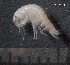  ( - SFCM3-003)  @13 [ ] Unspecified (default): All Rights Reserved  Unspecified Unspecified