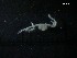  ( - SFCM35-003)  @11 [ ] Unspecified (default): All Rights Reserved  Unspecified Unspecified