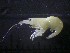  ( - SFCM7-002)  @12 [ ] Unspecified (default): All Rights Reserved  Unspecified Unspecified