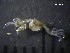  ( - SFCM8-001)  @11 [ ] Unspecified (default): All Rights Reserved  Unspecified Unspecified