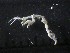  ( - SFCM8-002)  @11 [ ] Unspecified (default): All Rights Reserved  Unspecified Unspecified