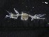  ( - SFCM8-003)  @11 [ ] Unspecified (default): All Rights Reserved  Unspecified Unspecified