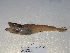  ( - FCFOP65-04)  @13 [ ] Unspecified (default): All Rights Reserved  Unspecified Unspecified