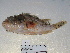  ( - FCFOP72-13)  @12 [ ] Unspecified (default): All Rights Reserved  Unspecified Unspecified