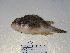  ( - FCFOP72-15)  @13 [ ] Unspecified (default): All Rights Reserved  Unspecified Unspecified