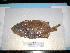  ( - FCFOP69-10)  @13 [ ] Unspecified (default): All Rights Reserved  Unspecified Unspecified