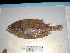  ( - FCFOP69-11)  @12 [ ] Unspecified (default): All Rights Reserved  Unspecified Unspecified