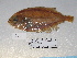  ( - FCFOP69-08)  @12 [ ] Unspecified (default): All Rights Reserved  Unspecified Unspecified