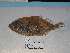  ( - FCFOP69-09)  @12 [ ] Unspecified (default): All Rights Reserved  Unspecified Unspecified