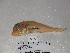  ( - FCFOP65-04)  @13 [ ] Unspecified (default): All Rights Reserved  Unspecified Unspecified
