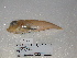  ( - FCFOP65-03)  @12 [ ] Unspecified (default): All Rights Reserved  Unspecified Unspecified