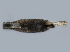  ( - IBUNAM_CNMA_36768)  @13 [ ] Unspecified (default): All Rights Reserved  Unspecified Unspecified