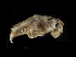  ( - IBUNAM_CNMA_36770)  @13 [ ] Unspecified (default): All Rights Reserved  Unspecified Unspecified