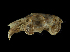  ( - IBUNAM_CNMA_36772)  @13 [ ] Unspecified (default): All Rights Reserved  Unspecified Unspecified
